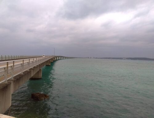 楽しくもあり苦しくもあり