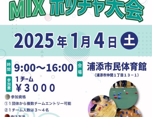 【申込受付中】おきなわMIXボッチャ大会のご案内　｜　沖縄県障がい者スポーツ協会