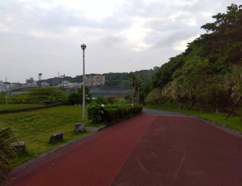 今日までは