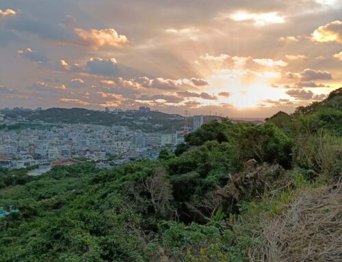 年末から決意すること